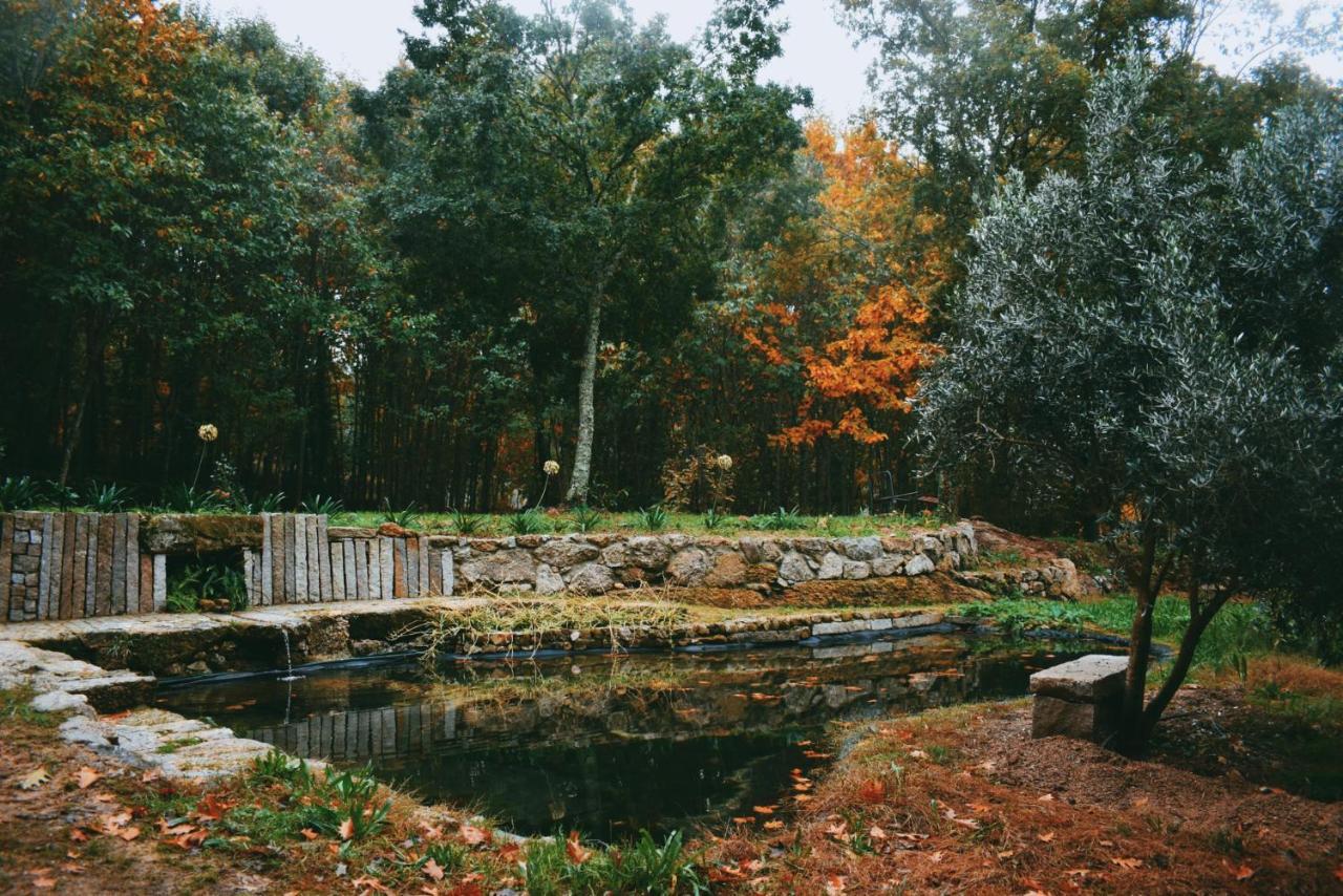 Quinta Das Fontes - Alojamento Rustico Local E Turismo Rural Sao Pedro do Sul Ngoại thất bức ảnh