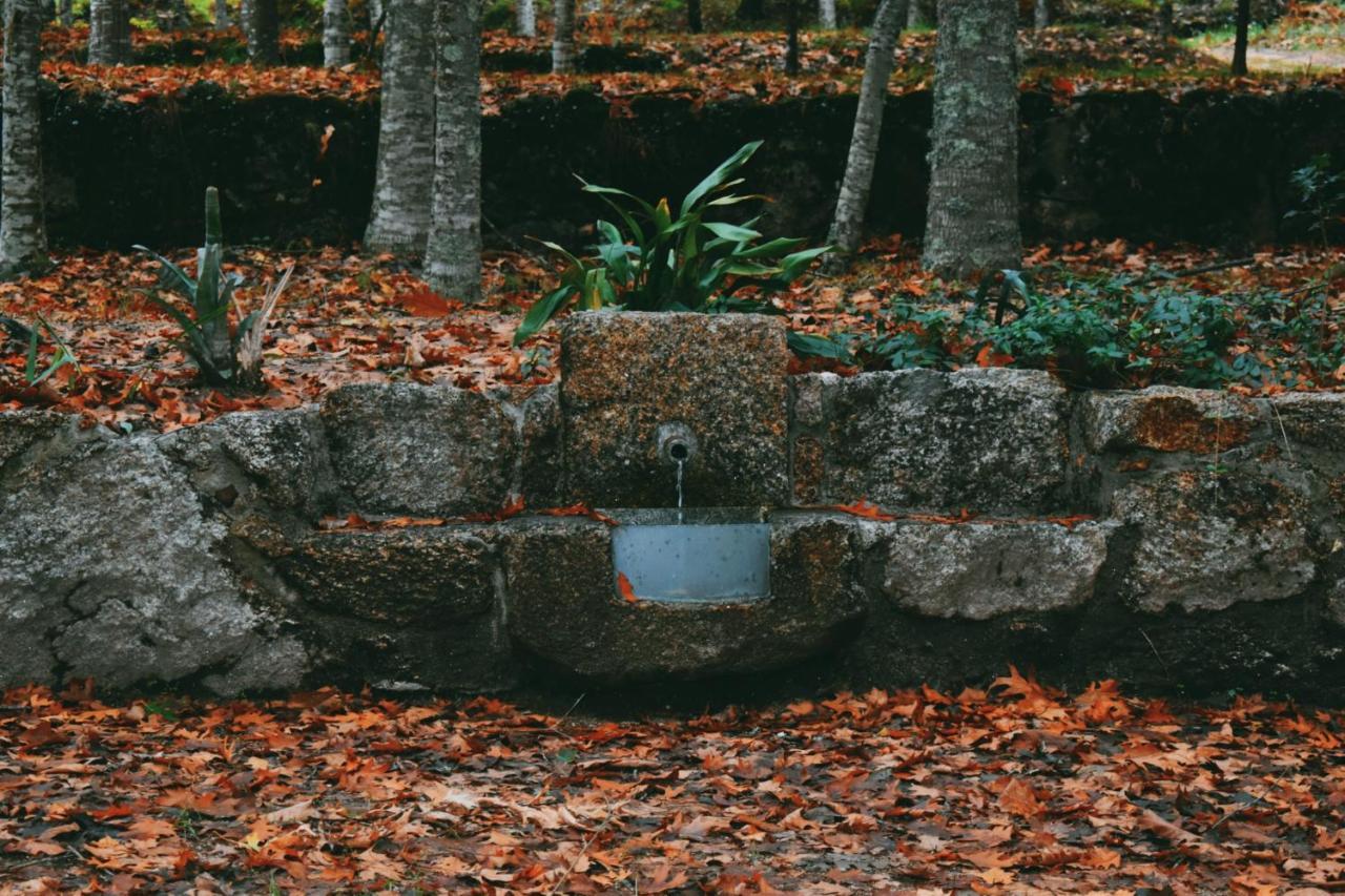 Quinta Das Fontes - Alojamento Rustico Local E Turismo Rural Sao Pedro do Sul Ngoại thất bức ảnh