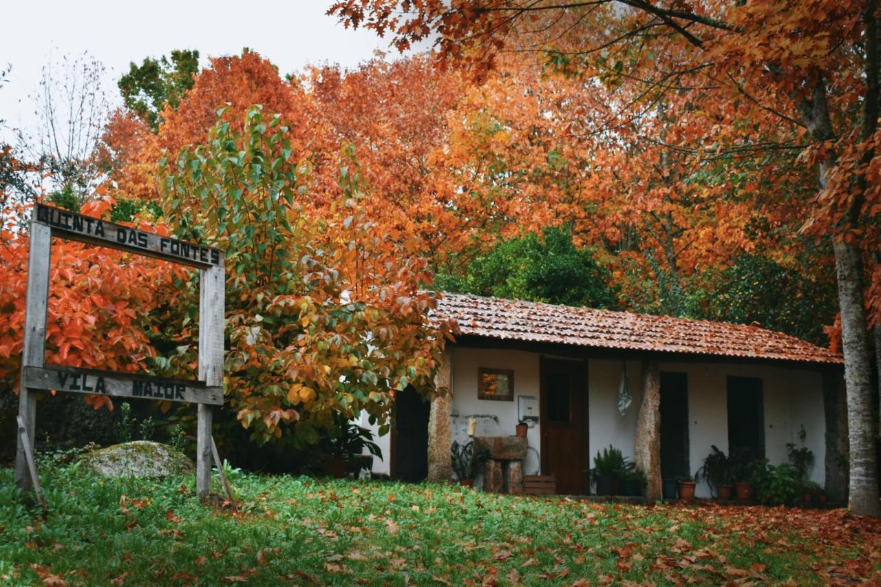 Quinta Das Fontes - Alojamento Rustico Local E Turismo Rural Sao Pedro do Sul Ngoại thất bức ảnh