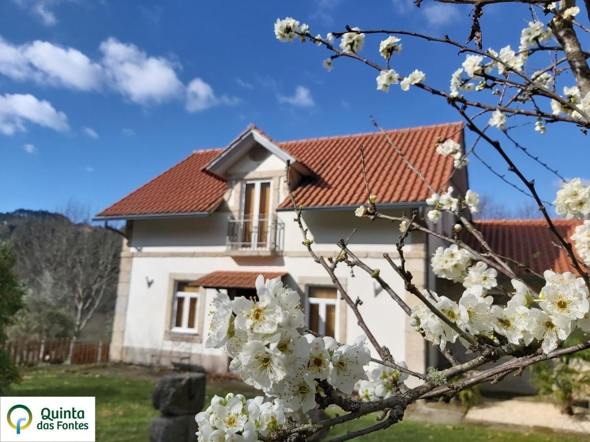 Quinta Das Fontes - Alojamento Rustico Local E Turismo Rural Sao Pedro do Sul Ngoại thất bức ảnh