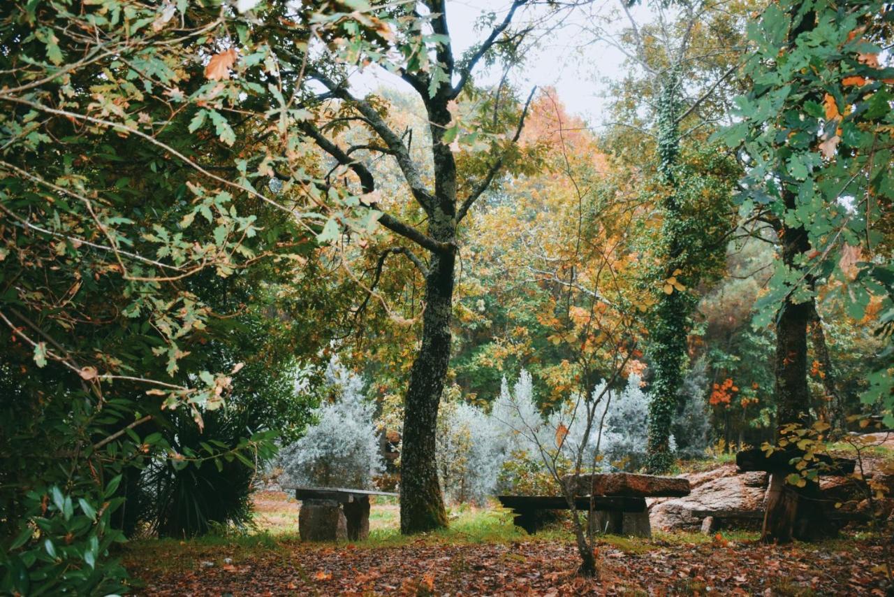 Quinta Das Fontes - Alojamento Rustico Local E Turismo Rural Sao Pedro do Sul Ngoại thất bức ảnh