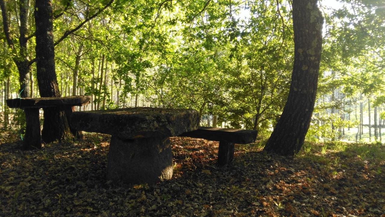 Quinta Das Fontes - Alojamento Rustico Local E Turismo Rural Sao Pedro do Sul Ngoại thất bức ảnh