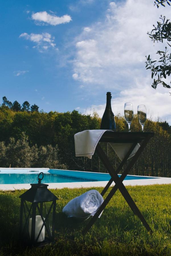 Quinta Das Fontes - Alojamento Rustico Local E Turismo Rural Sao Pedro do Sul Ngoại thất bức ảnh