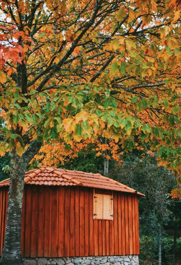 Quinta Das Fontes - Alojamento Rustico Local E Turismo Rural Sao Pedro do Sul Ngoại thất bức ảnh