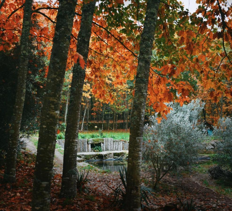 Quinta Das Fontes - Alojamento Rustico Local E Turismo Rural Sao Pedro do Sul Ngoại thất bức ảnh