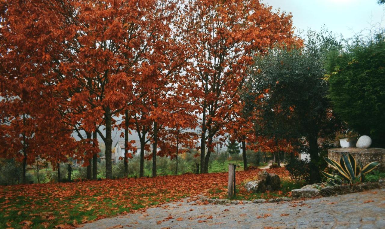 Quinta Das Fontes - Alojamento Rustico Local E Turismo Rural Sao Pedro do Sul Ngoại thất bức ảnh