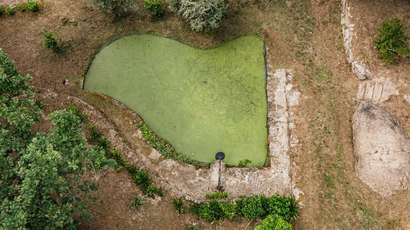 Quinta Das Fontes - Alojamento Rustico Local E Turismo Rural Sao Pedro do Sul Ngoại thất bức ảnh