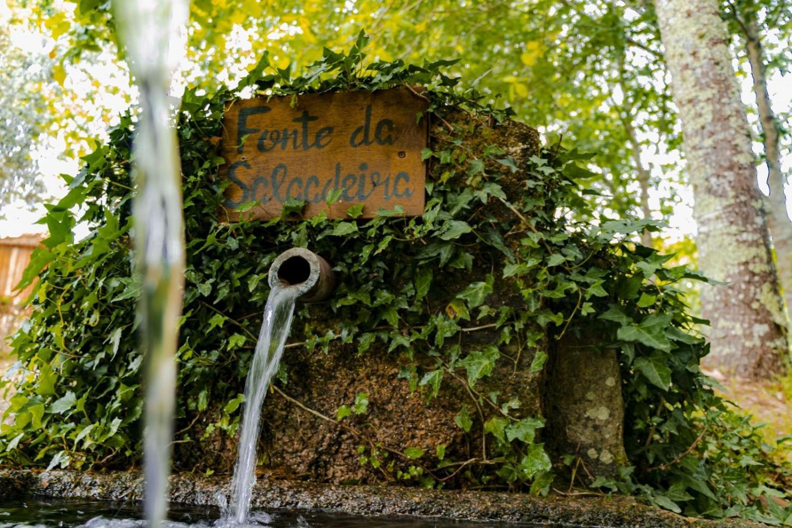 Quinta Das Fontes - Alojamento Rustico Local E Turismo Rural Sao Pedro do Sul Ngoại thất bức ảnh