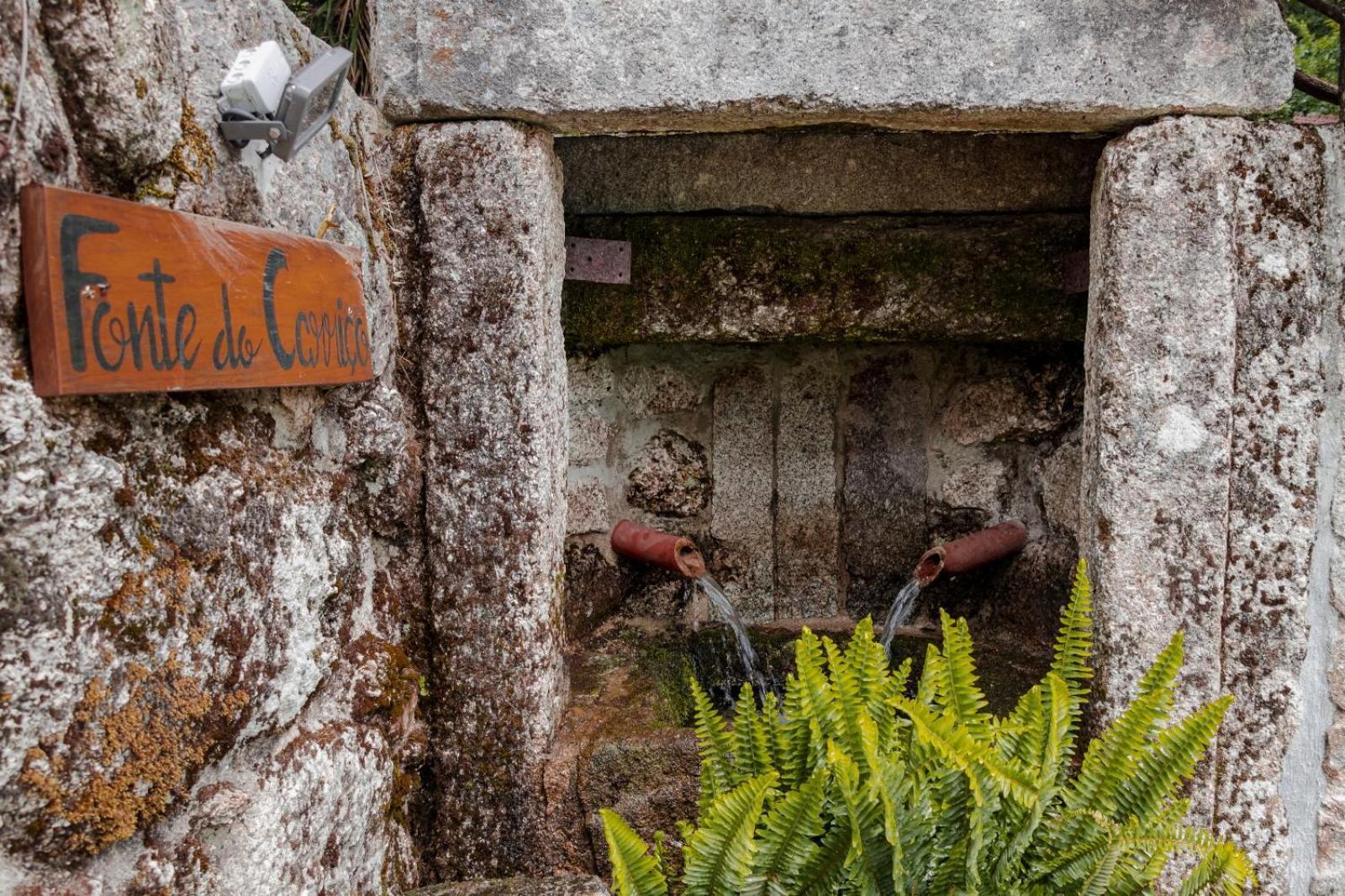 Quinta Das Fontes - Alojamento Rustico Local E Turismo Rural Sao Pedro do Sul Ngoại thất bức ảnh