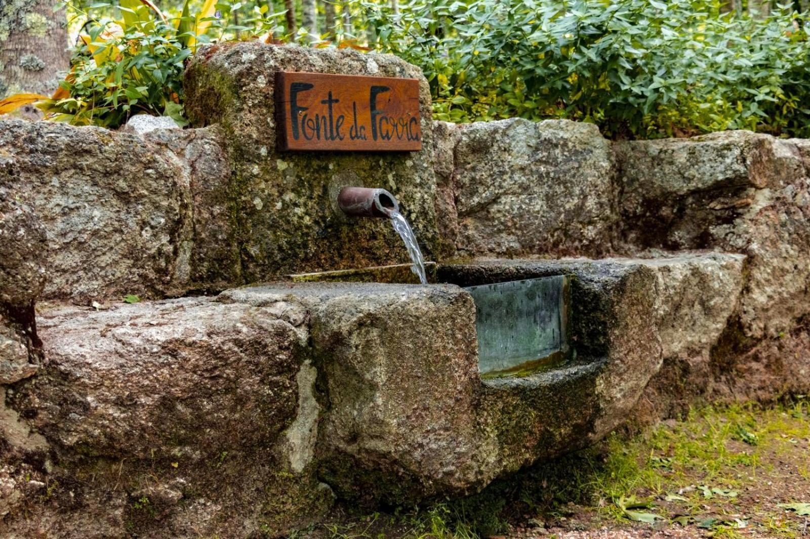 Quinta Das Fontes - Alojamento Rustico Local E Turismo Rural Sao Pedro do Sul Ngoại thất bức ảnh